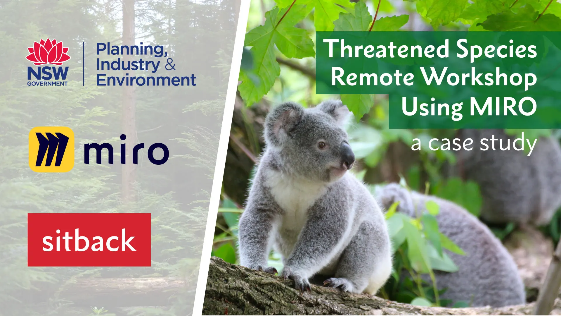 Case Study: DPIE Threatened Species Remote Workshops