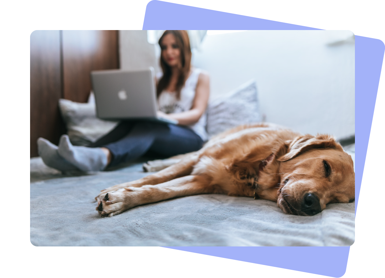 Woman sitting on the bed using her laptop on outstretched legs. In the foreground is a Golden Retriever dog lying asleep on the mattress.